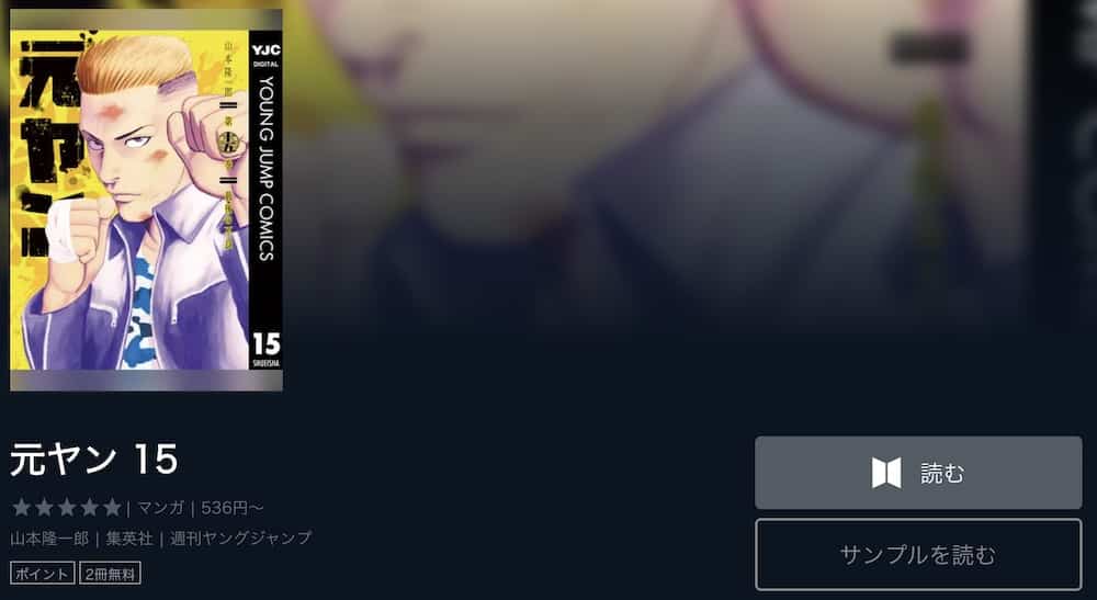 元ヤン 山本隆一郎 集英社 返品送料無料